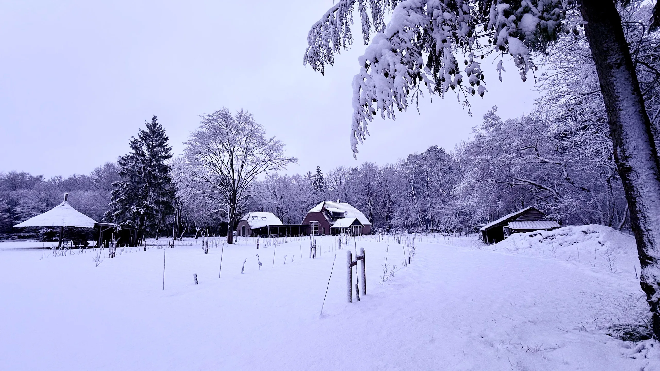 Het Windmolenveld onder een dik pak sneeuw, met de besneeuwde tuin en moestuin op de voorgrond